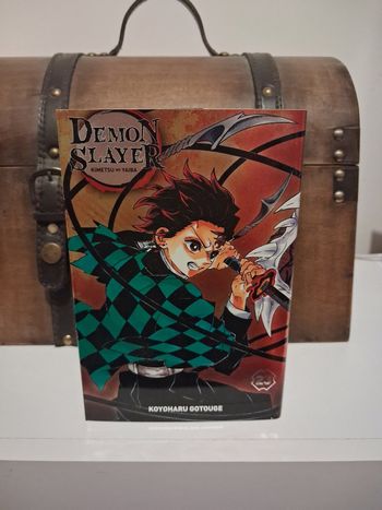Manga Demon Slayer tome 23 édition limitée jaquette alternative