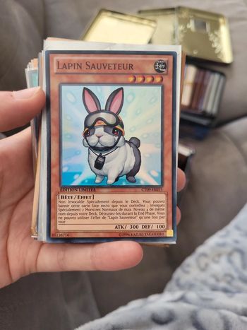 Carte lapin sauveteur