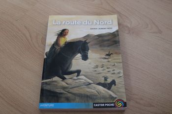 La route du Nord