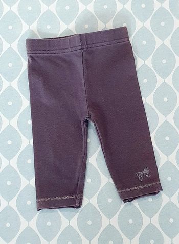 Legging Orchestra - 3M