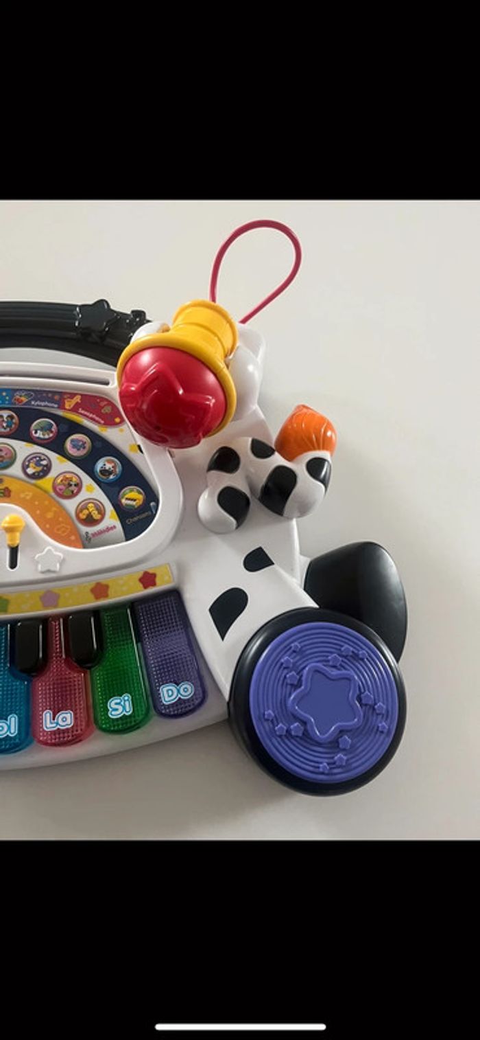 Piano zèbre - photo numéro 4