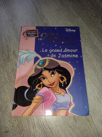 livre ma princesse préférée disney le grand amour de jasmine
