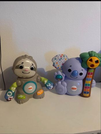 Koala et paresseux apprentissage 