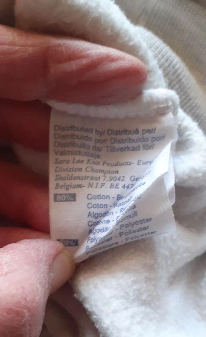 Sweat à capuche gris très clair. 11/12 ans. Champion. - photo numéro 4