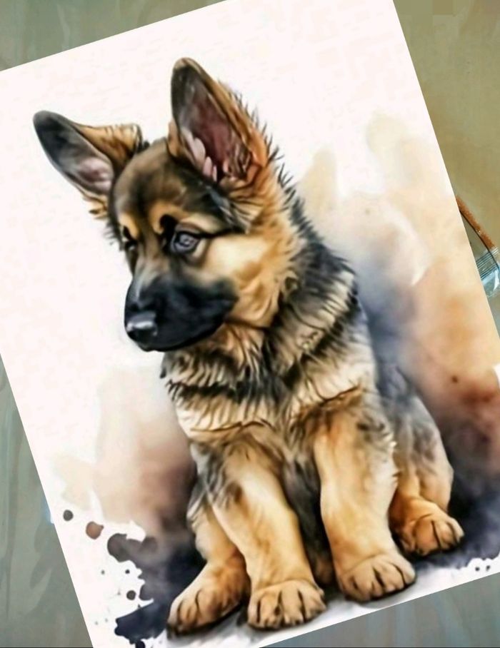 Diamond painting chiot #A025