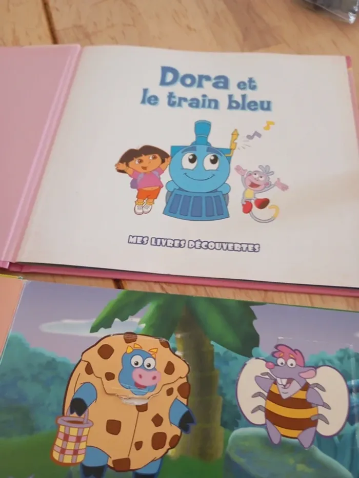 Deux livre dora - photo numéro 7