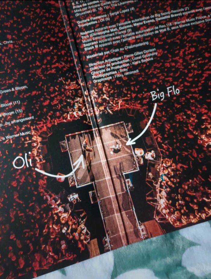 Double Vinyle | Bigflo & Oli " La Vie De Rêve " 💐 - photo numéro 5