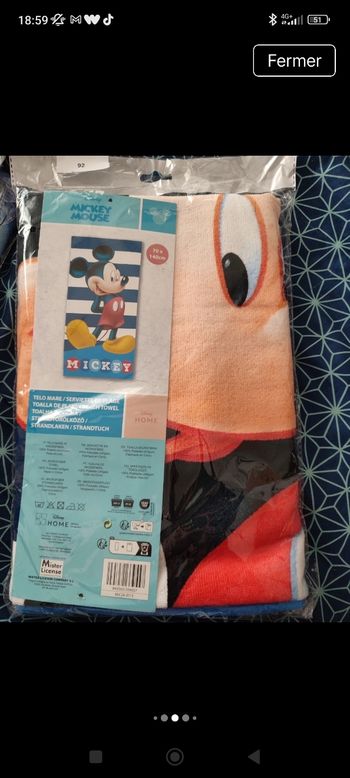 Serviettes de plage disney