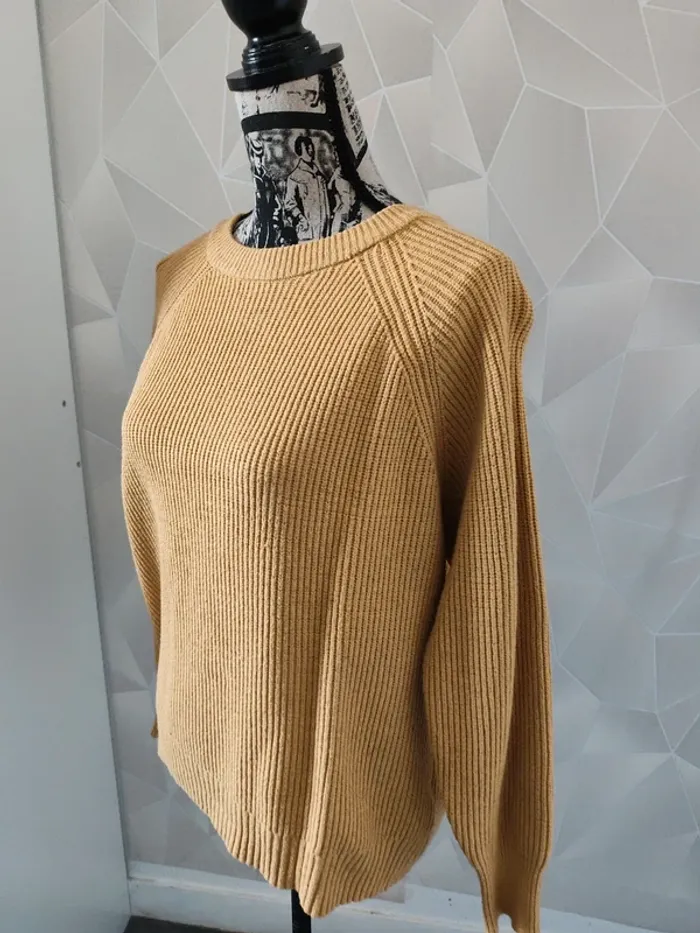 Pull moutarde - photo numéro 2