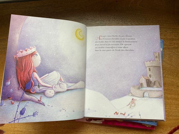 Lot livres enfants - photo numéro 8