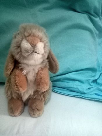 Lapin en peluche