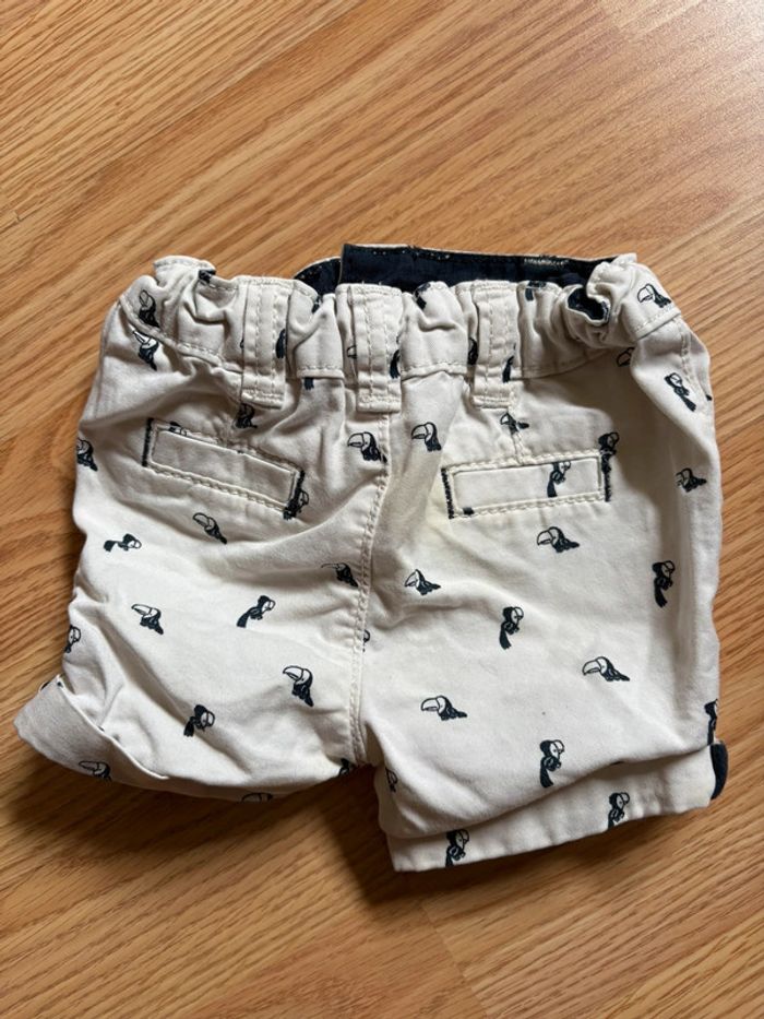 Short perroquet - photo numéro 4