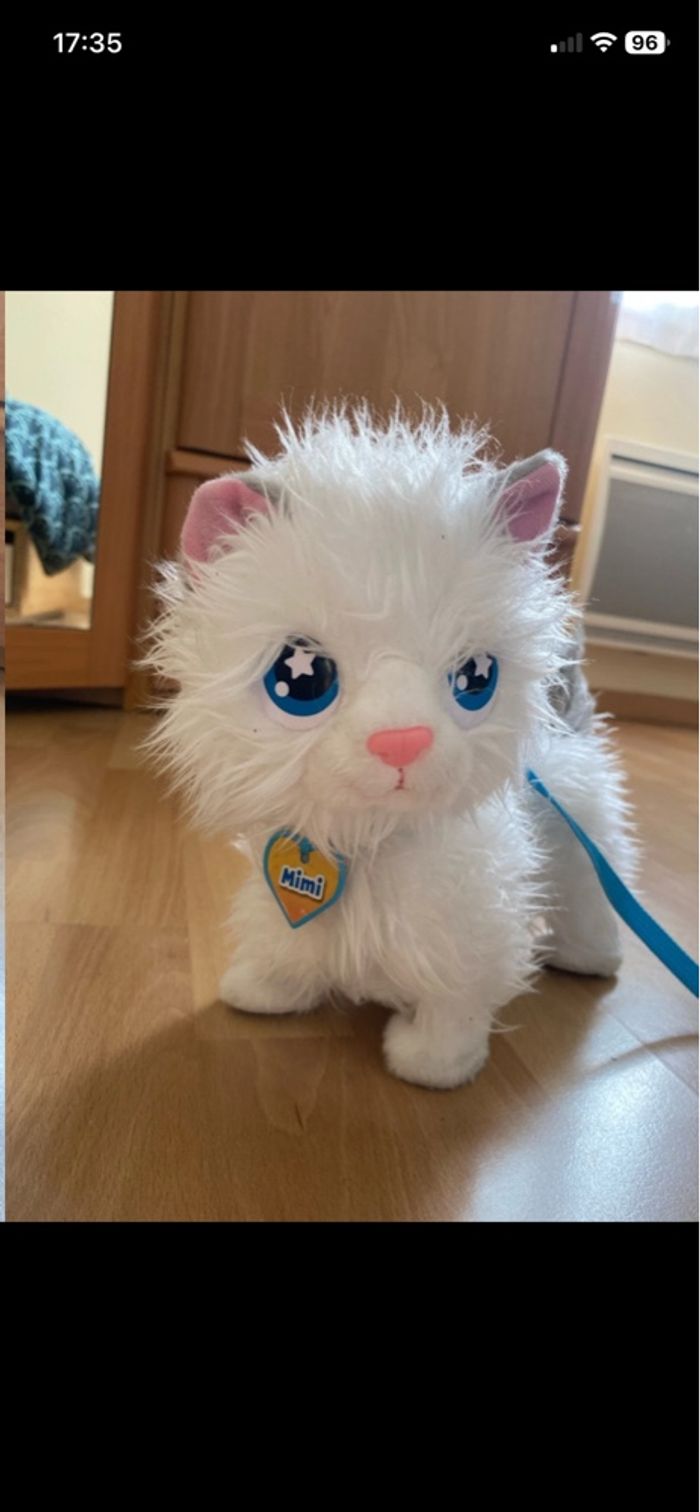 Chat a promener - photo numéro 2