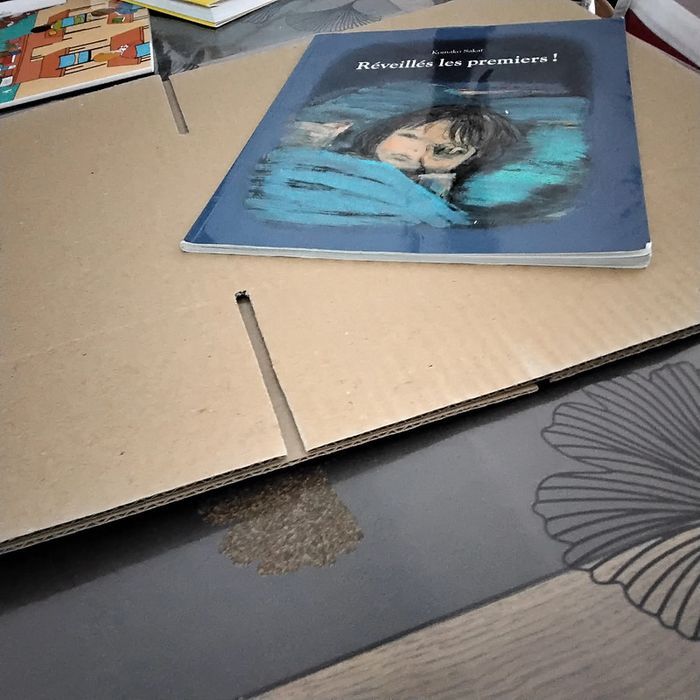 Réveillés les premiers Komako SAKAI - photo numéro 4