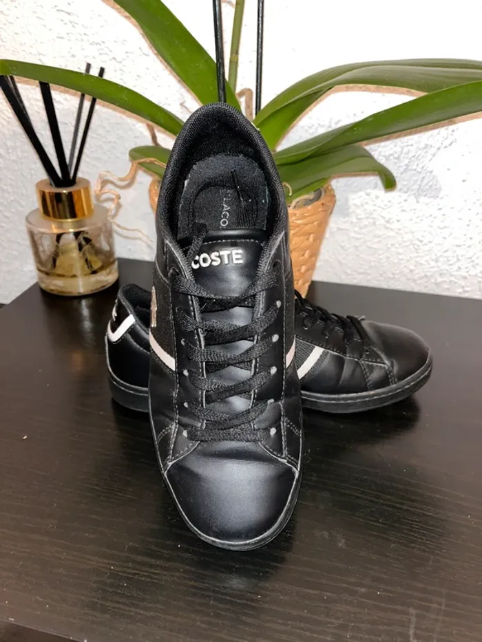 Basket Lacoste
