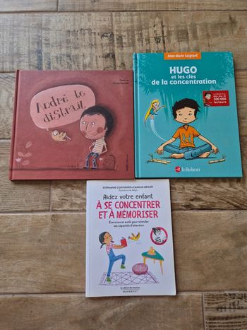 Lot de 3 livres sur le thème de la concentration
