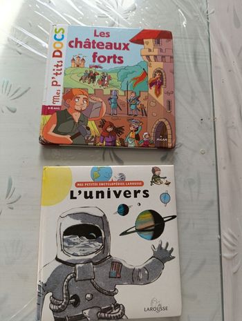 Lot de 2 livres pour enfant l'univers Larousse et les châteaux forts Mes p'tits docs