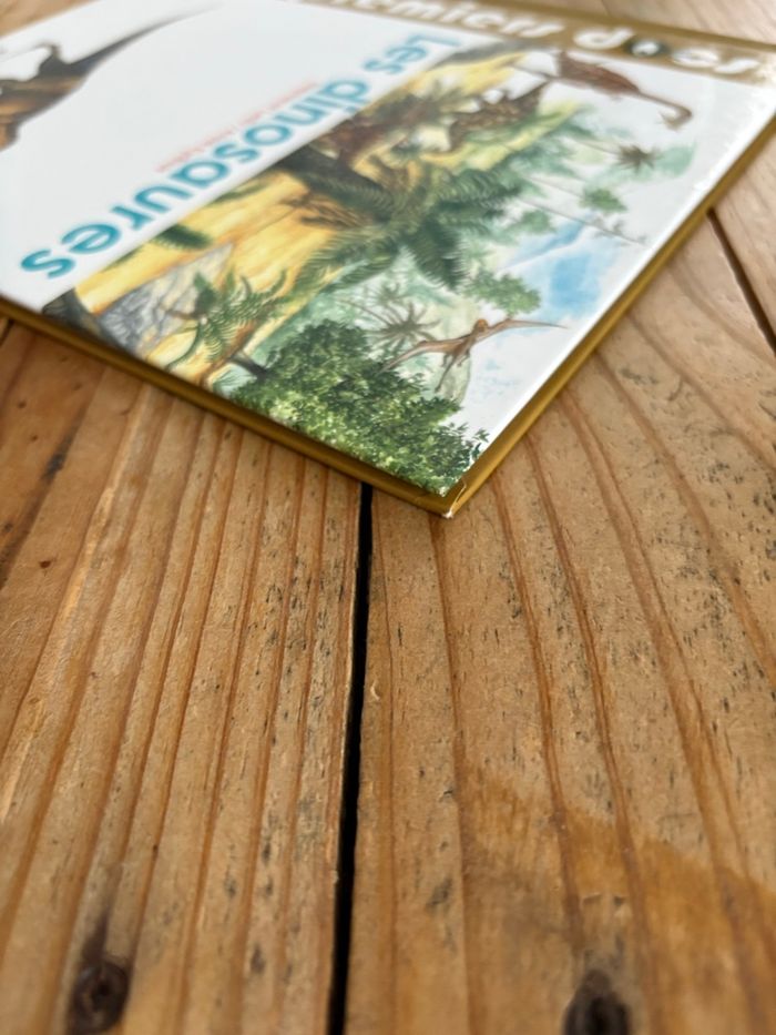 Les dinosaures - photo numéro 5