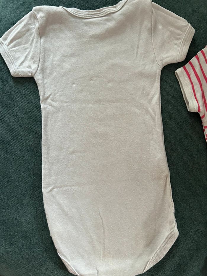 Lot 3 bodies petit bateau 12 mois - photo numéro 9