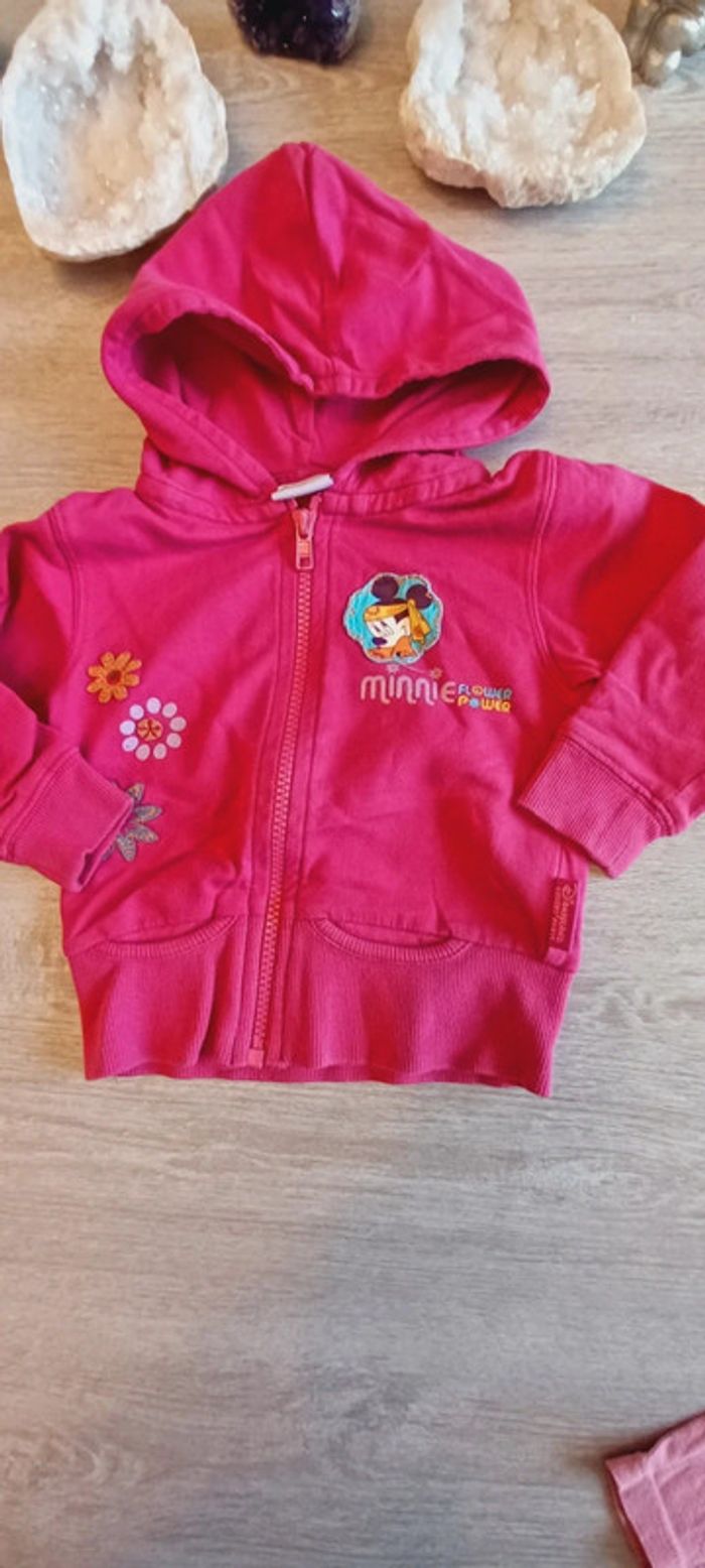 Veste à capuche disney 12 mois - photo numéro 2