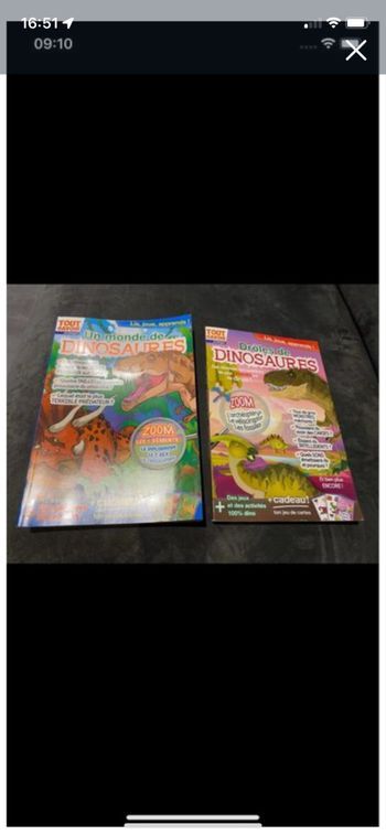 Lot de 2 magasines sur les dinosaures