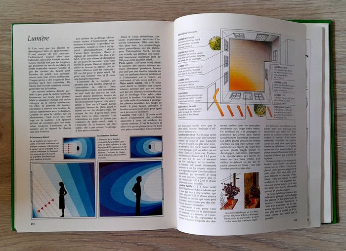 guide des plantes d'intérieur - photo numéro 7