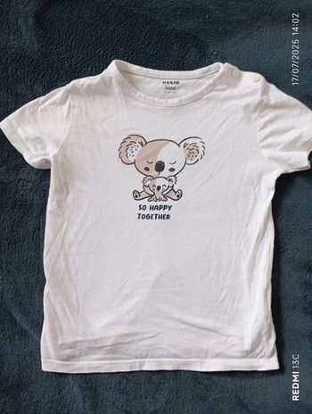 T shirt koala
