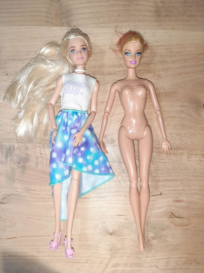 Lot de Barbies
