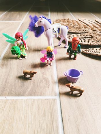 🦄Playmobil féerie/fairies lot de figurines fées, nain de la forêt et animaux