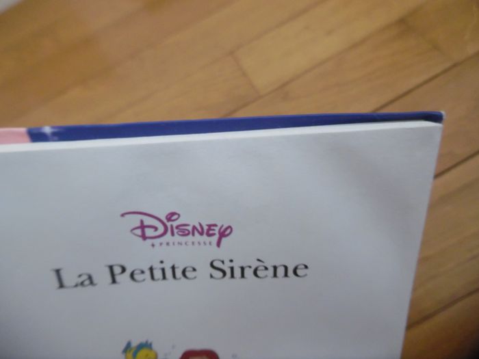 Ma princesse préférée - photo numéro 8