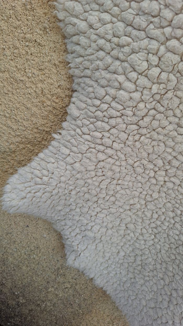 🛏 Petit tapis / carpette - photo numéro 3