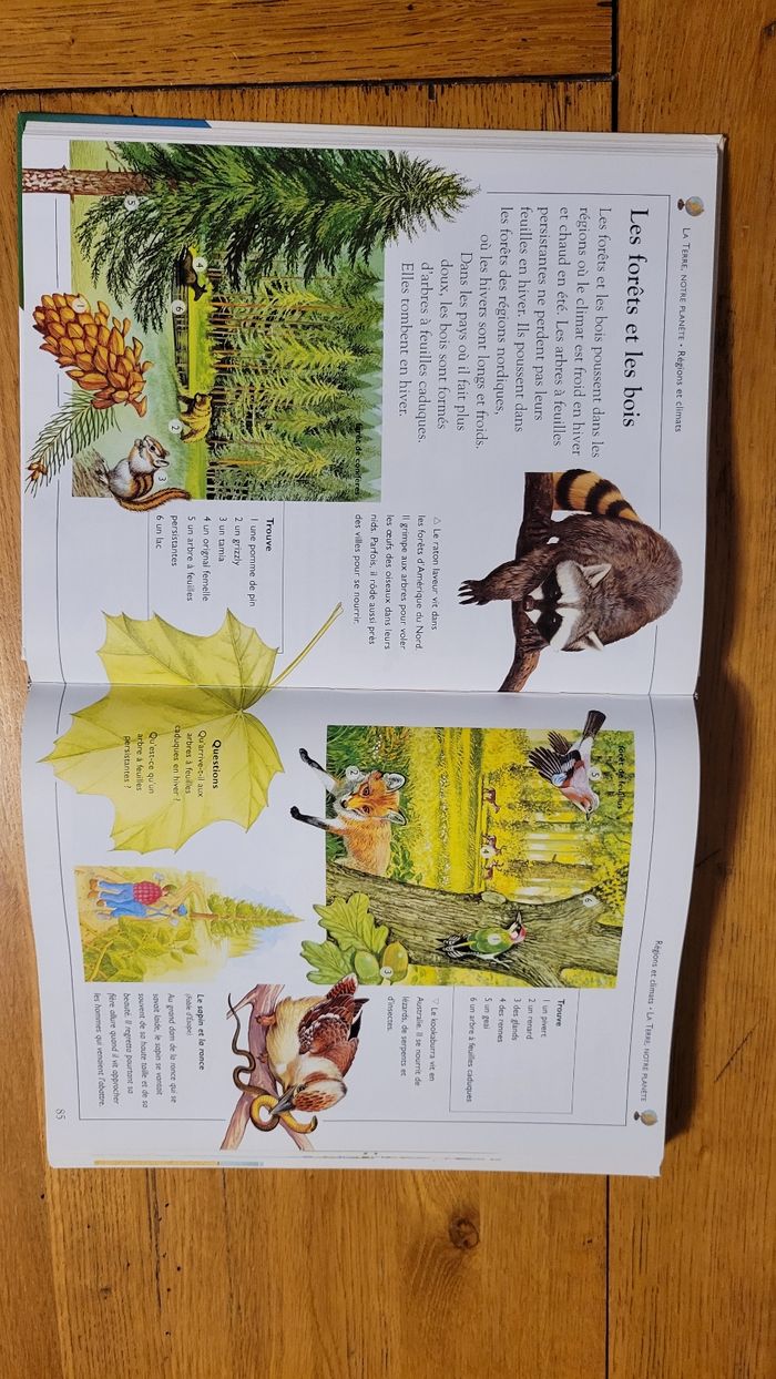 La grande encyclopédie des enfants . L'indispensable des 6/10 ans. édition Nathan. - photo numéro 8