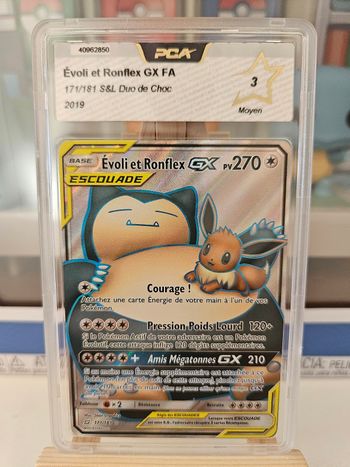 Evoli et Ronflex GX - PCA 3
