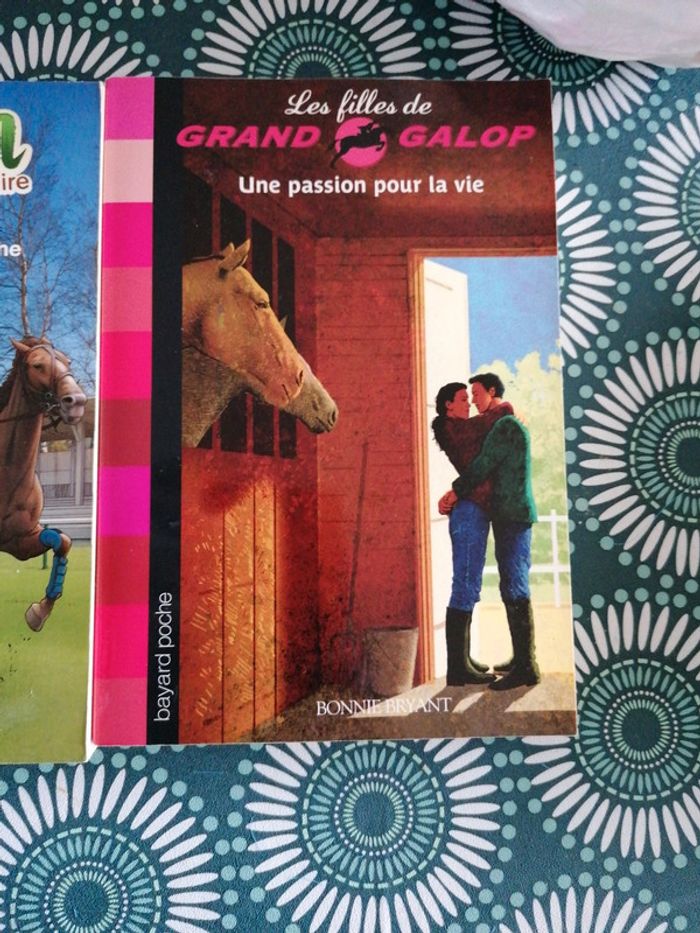 Grand Galop Manon l'Étalon Noir - photo numéro 4
