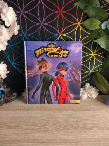 Miraculous – Le film