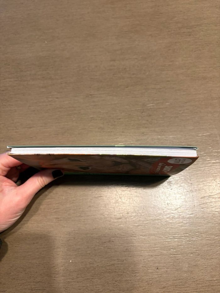 Livre bibliothèque verte - photo numéro 4