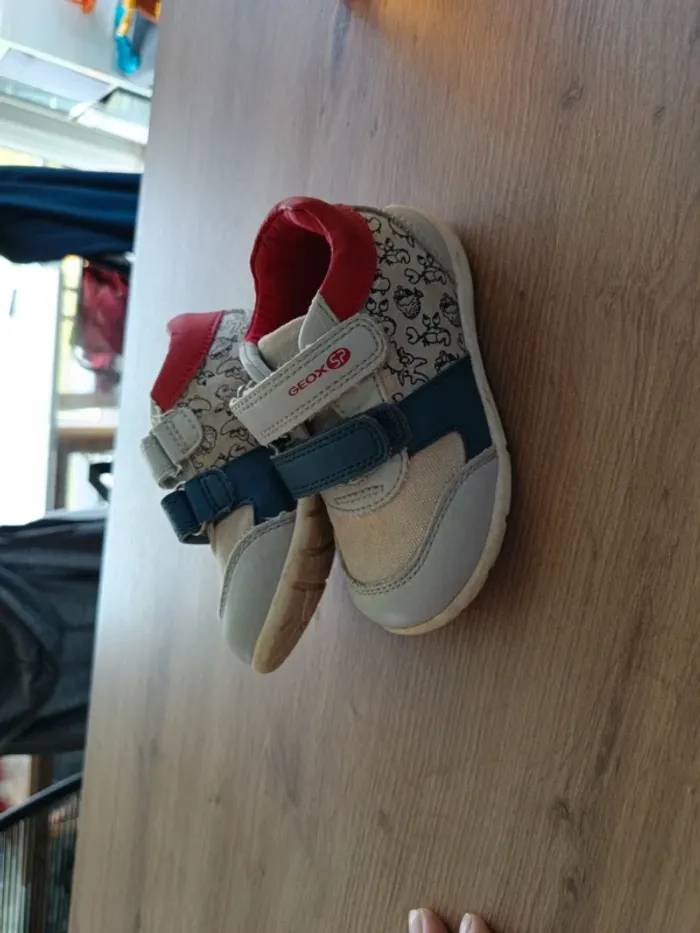Baskets Geox