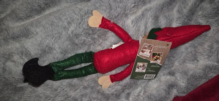 Duo lutins farceurs - photo numéro 6