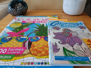 Lots de magazine de colo mystère et non mystère