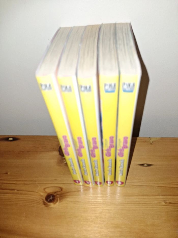 Manga Girls Bravo 5 tomes - photo numéro 3