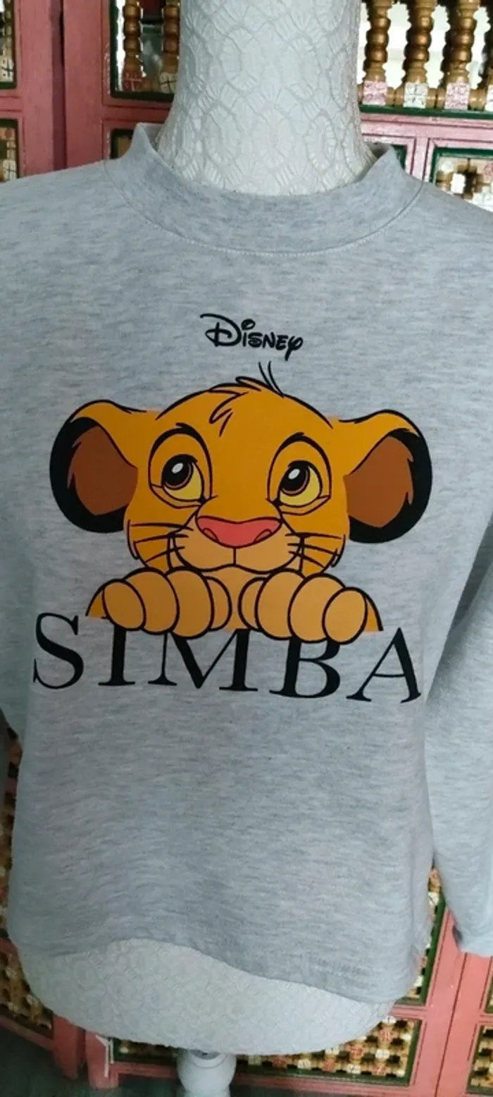 Pull Disney - photo numéro 2
