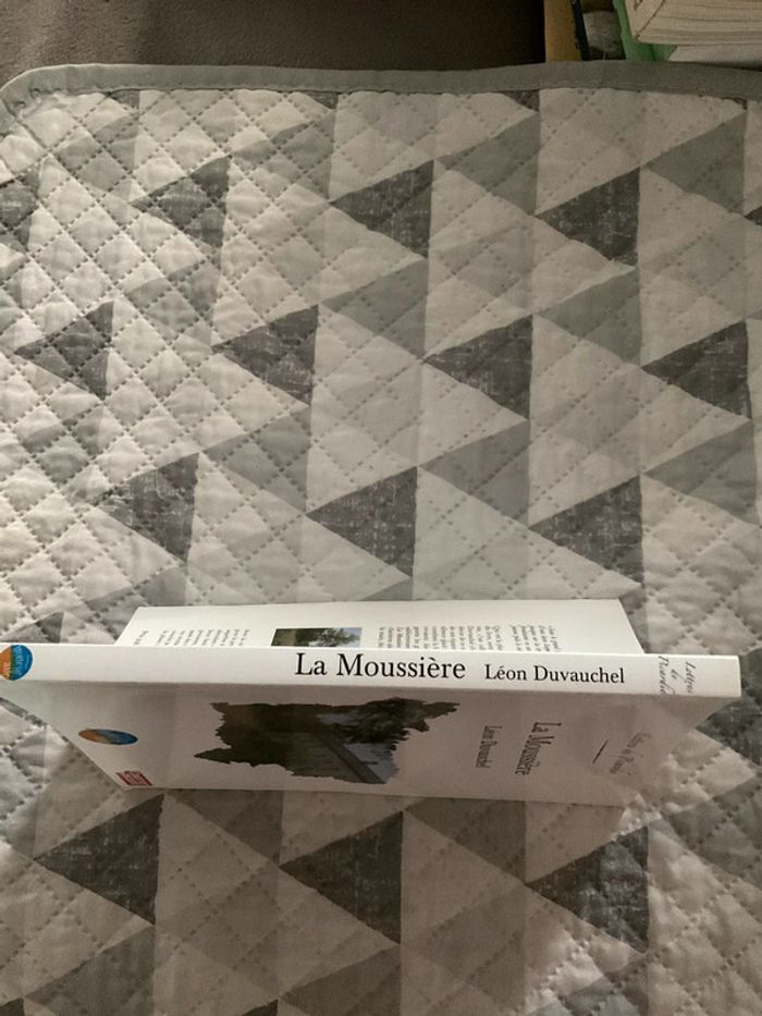 #la moussière Léon Duvauchel - photo numéro 3