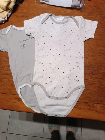 2 Bodys gris Mots d'enfants 86