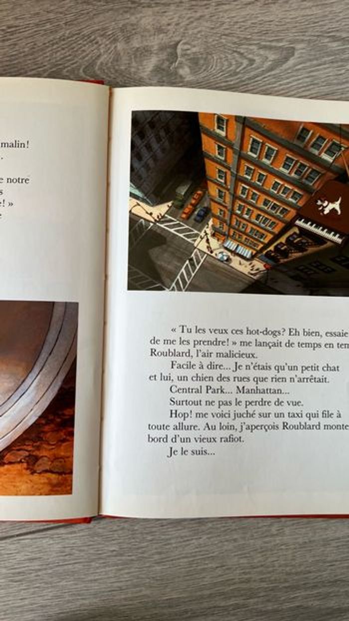 Livre pour enfant - photo numéro 2