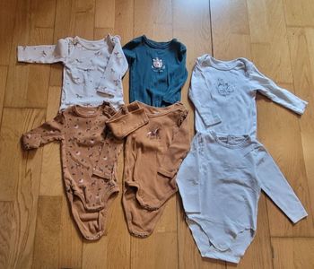 Lot 6 bodies