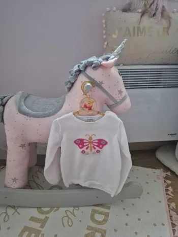 Pull papillon 24 mois