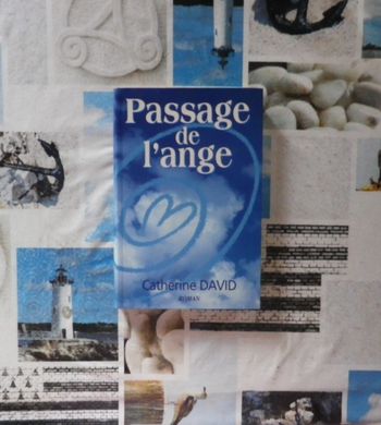 Passage de l'ange de Catherine David Ed. Le Grand Livre du Mois