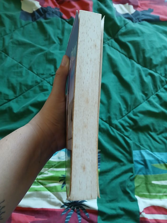 Livre "Phoneplay" de Morgane Bicail - photo numéro 5