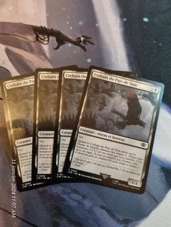 Crebain du pays de dun