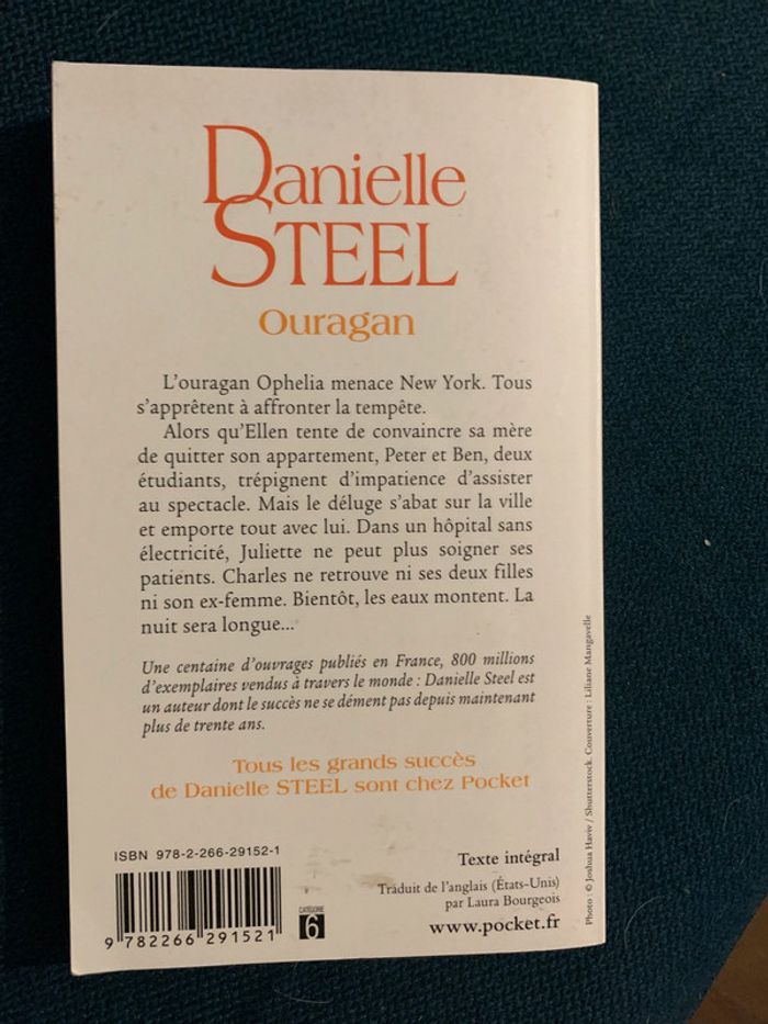 Livre de poche roman Danielle Steel Ouragan parfait état - photo numéro 2